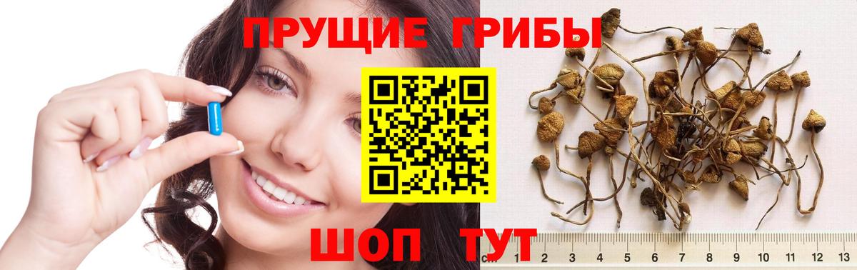 Псилоцибиновые грибы мухоморы Тольятти